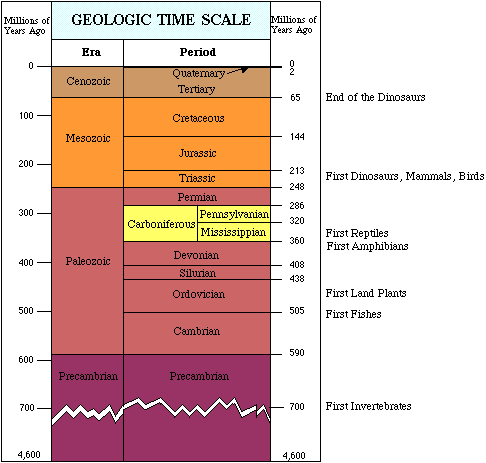 geologic column